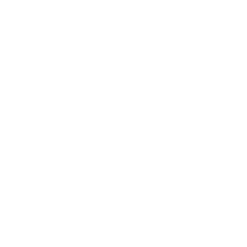 DPS Logo